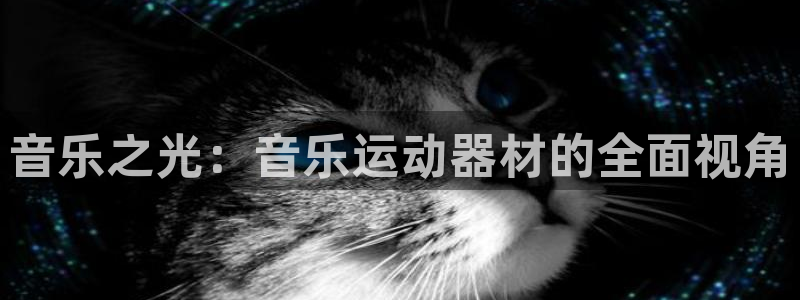 fb体育平台注册流程图：音乐之光：音乐运动器材的全面