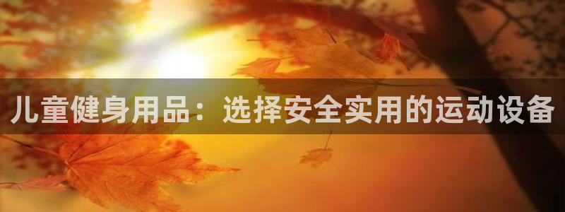 fb体育平台注册流程图：儿童健身用品：选择安全实用的
