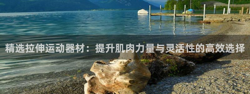 fb体育平台是正规平台吗知乎：精选拉伸运动器材：提升肌肉力量
