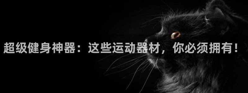 fb体育神州：超级健身神器：这些运动器材，你必须拥有！