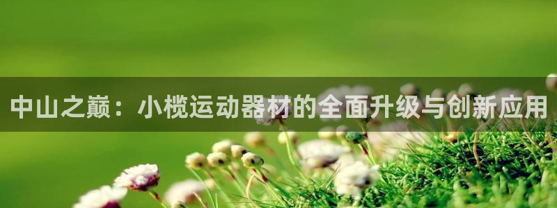 fb体育娱乐是那个系列的台子