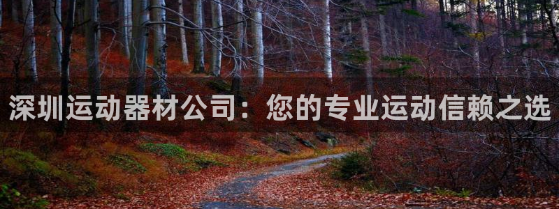 fb体育官方：深圳运动器材公司：您的专业运动信赖之选