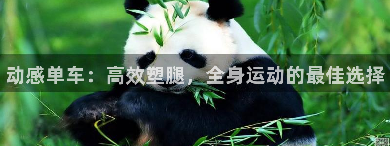 fb体育娱乐网站：动感单车：高效塑腿，全身运动的最佳选择