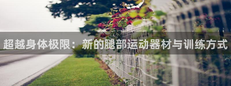 注册fb体育：超越身体极限：新的腿部运动器材与训练方