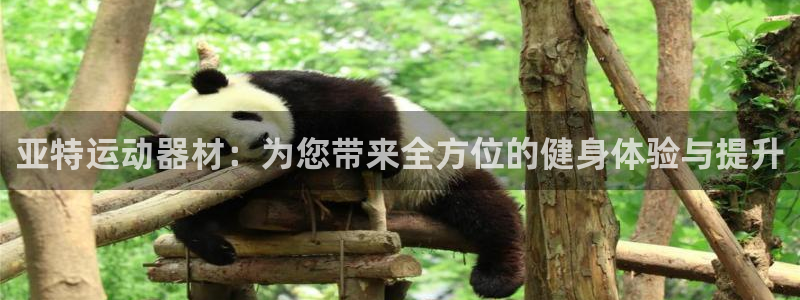 fb体育招商电话号码查询：亚特运动器材：为您带来全方