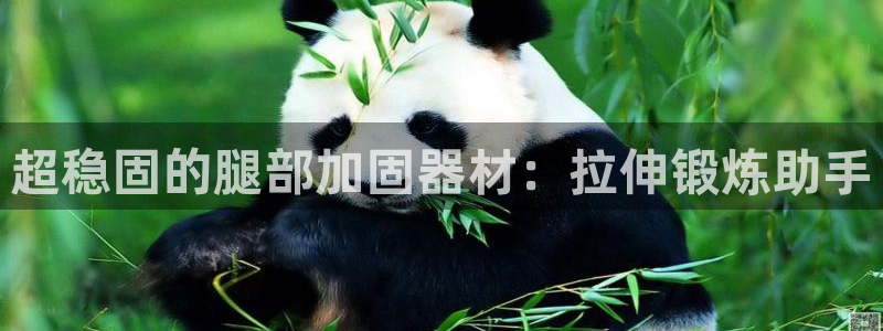 fb体育官方客服电话：超稳固的腿部加固器材：拉伸锻炼