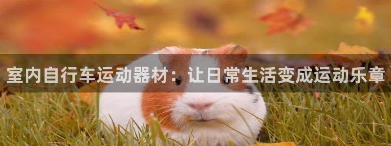 fb体育招商电话号码是多少啊